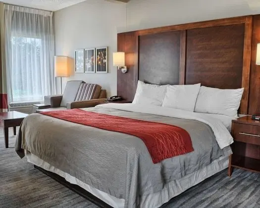 Oda, 1 En Büyük (King) Boy Yatak, Engellilere Uygun, Sigara İçilmez