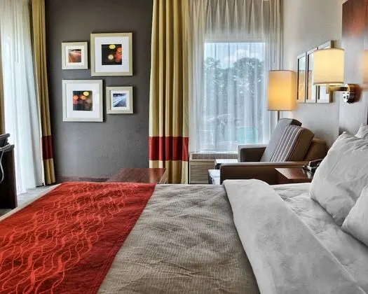 Oda, 1 En Büyük (King) Boy Yatak, Engellilere Uygun, Sigara İçilmez