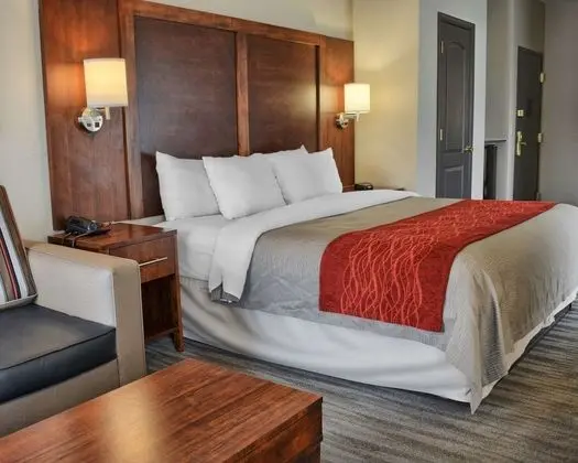 Oda, 1 En Büyük (King) Boy Yatak, Engellilere Uygun, Sigara İçilmez