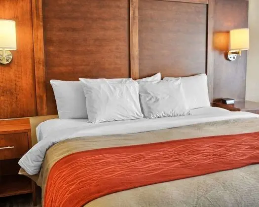 Oda, 1 En Büyük (King) Boy Yatak, Engellilere Uygun, Sigara İçilmez