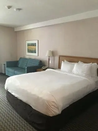 Standard King Room plus Sofabed, Non Smoking