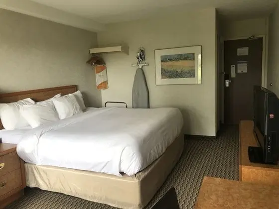 Standard King Room plus Sofabed, Non Smoking