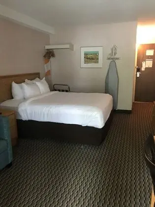 Standard Room, 1 Queen Bed plus Sofabed, Non Smoking