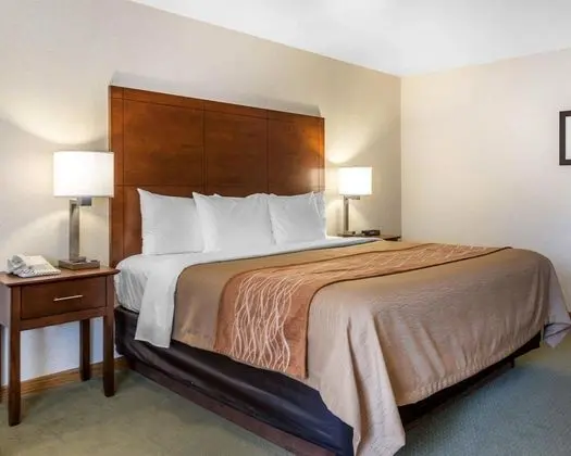 Standard Oda, 1 En Büyük (King) Boy Yatak, Sigara İçilmez