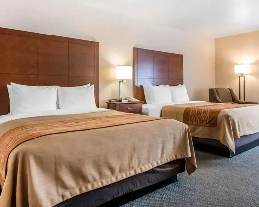 Standard Oda, 2 Büyük (Queen) Boy Yatak, Sigara İçilmez