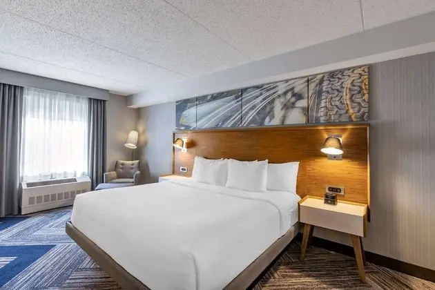 Room, 1 King Bed, Non Smoking