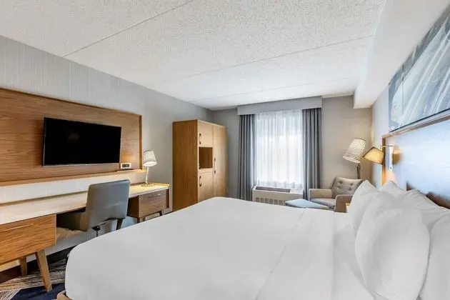 Room, 1 King Bed, Non Smoking