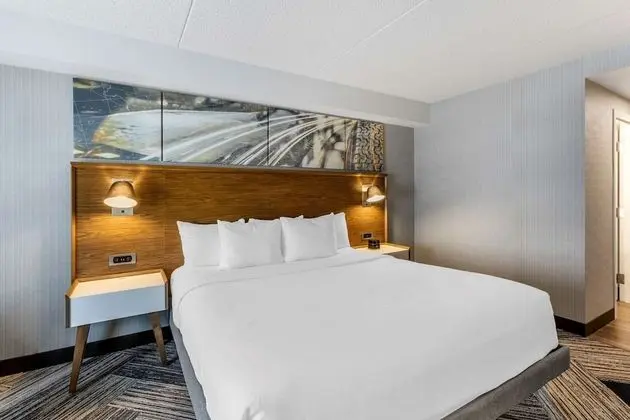 Room, 1 King Bed, Non Smoking