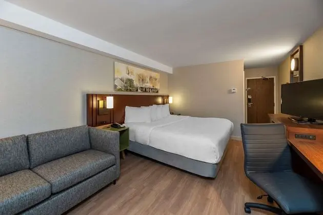 Oda, 1 En Büyük (King) Boy Yatak, Sigara İçilmez (Upgrade, Ground Floor, Courtyard View)