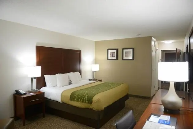 Standard King Non Smoking