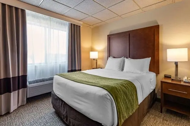 Standard Oda, 1 Büyük (Queen) Boy Yatak