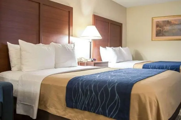 Oda, 2 Büyük (Queen) Boy Yatak, Engellilere Uygun, Sigara İçilmez (Bathtub w/ Grab Bars)