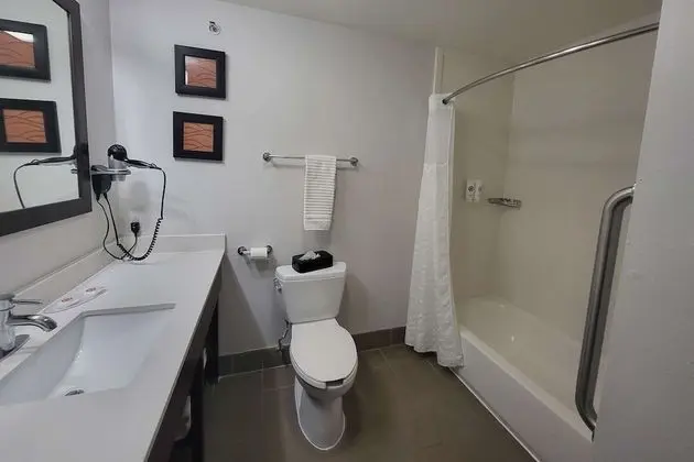 Deluxe Oda, 1 En Büyük (King) Boy Yatak, Engellilere Uygun, Sigara İçilmez