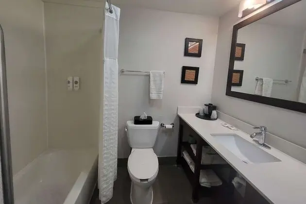 Standard Oda, 1 En Büyük (King) Boy Yatak, Sigara İçilmez