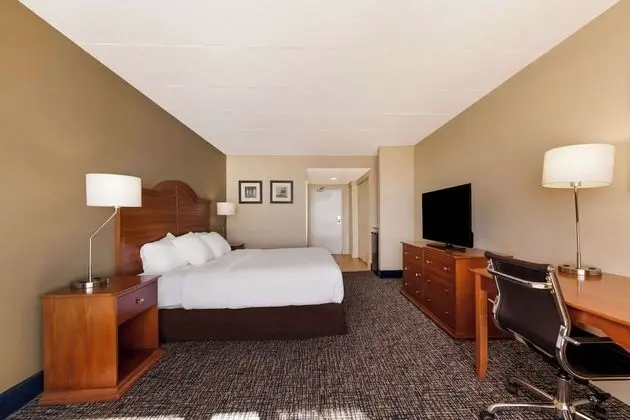Room, 1 King Bed, Accessible with Roll In Shower, Non Smoking