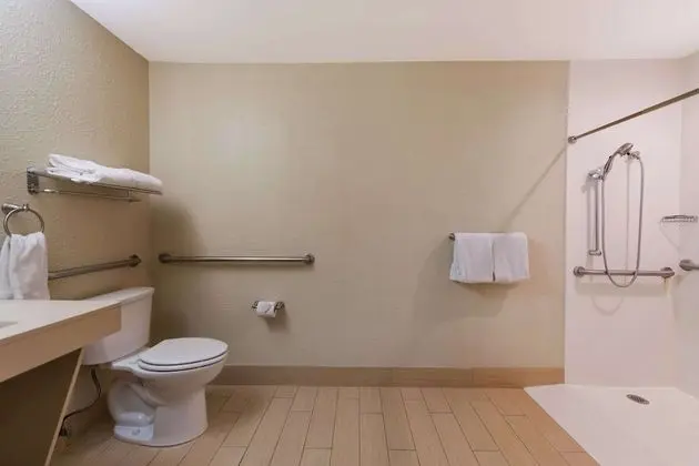 Room, 1 King Bed, Accessible with Roll In Shower, Non Smoking
