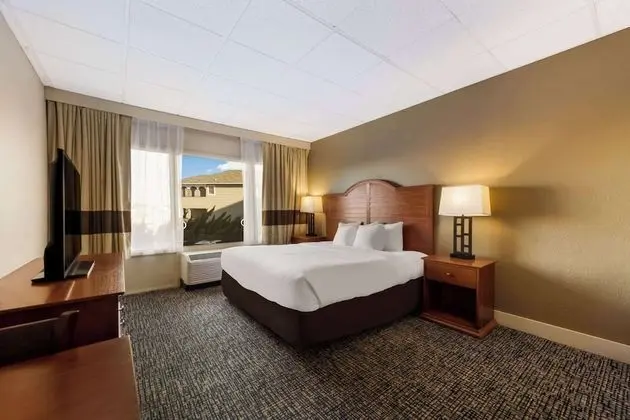 Room, 1 King Bed, Accessible with Roll In Shower, Non Smoking