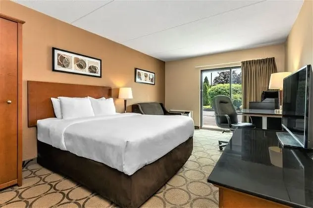 Standard Oda, 1 Büyük (Queen) Boy Yatak, Sigara İçilmez, Zemin Kat (Pet Friendly)
