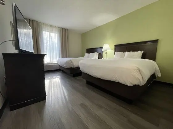 Süit, Birden Çok Yatak, Sigara İçilmez (Upgrade)