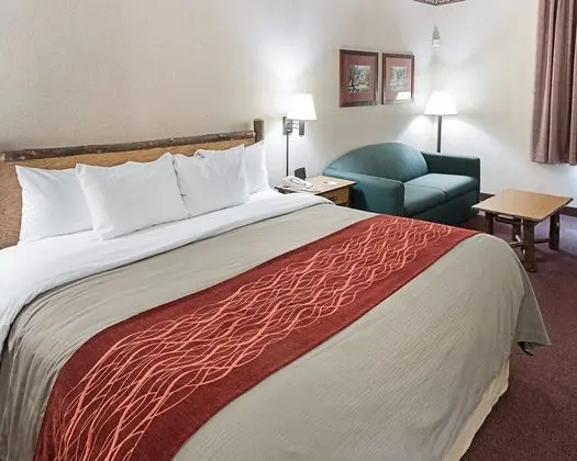 Standard Oda, 1 En Büyük (King) Boy Yatak, Sigara İçilmez