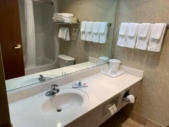 Standard Oda, 1 En Büyük (King) Boy Yatak, Sigara İçilmez