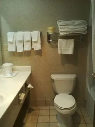 Standard Oda, 1 En Büyük (King) Boy Yatak, Sigara İçilmez