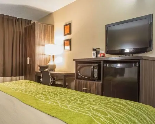 Oda, 1 En Büyük (King) Boy Yatak, Sigara İçilmez (Pets Allowed)