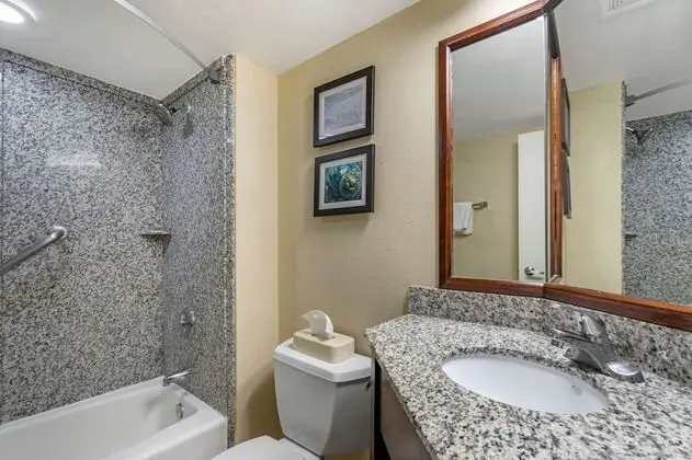 Deluxe Süit, Birden Çok Yatak, Sigara İçilmez