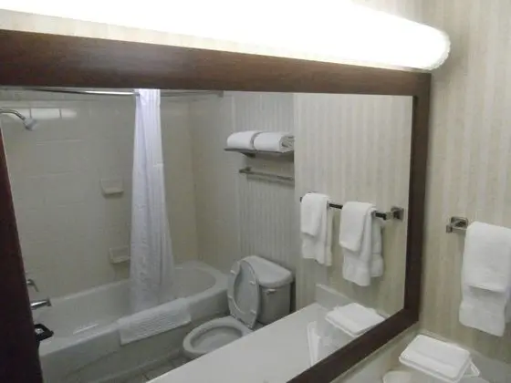 Oda, 1 En Büyük (King) Boy Yatak, Engellilere Uygun, Sigara İçilmez (Bathtub)