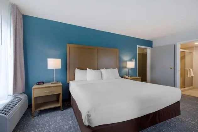 1 Bedroom Suite, 1 King Bed, Non Smoking