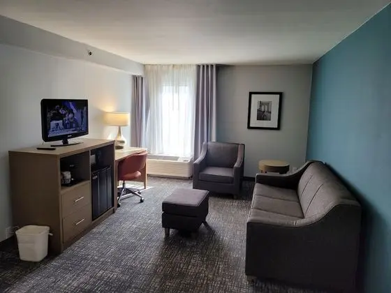 1 Bedroom Suite, 1 King Bed, Non Smoking