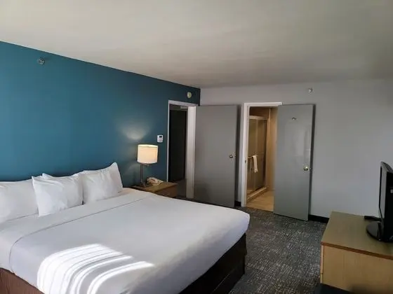 1 Bedroom Suite, 1 King Bed, Non Smoking