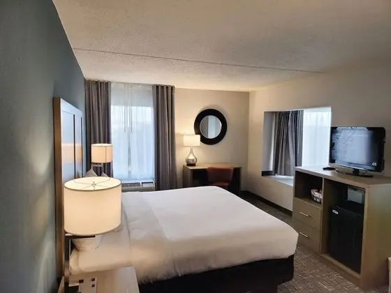 1 Bedroom Suite, 1 King Bed, Non Smoking