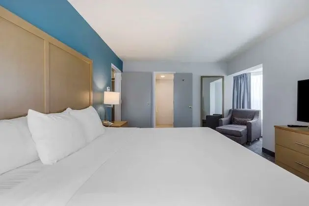 1 Bedroom Suite, 1 King Bed, Non Smoking