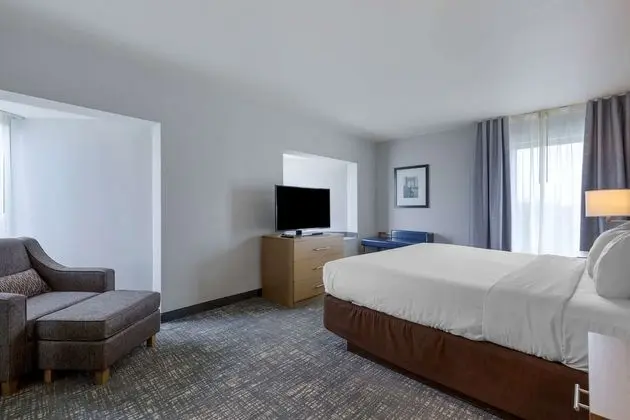 1 Bedroom Suite, 1 King Bed, Non Smoking