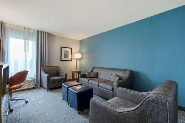 1 Bedroom Suite, 1 King Bed, Non Smoking