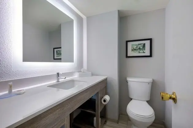 1 Bedroom Suite, 1 King Bed, Non Smoking