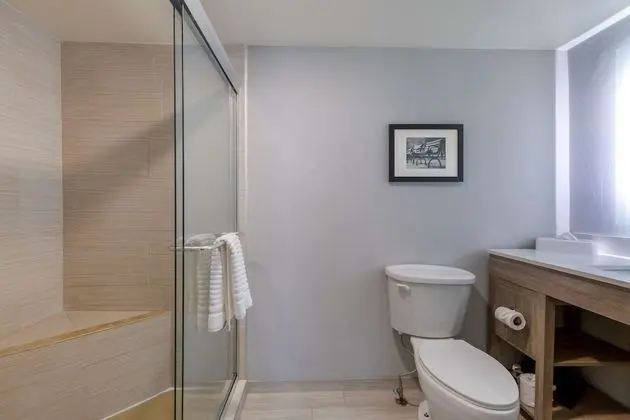 1 Bedroom Suite, 1 King Bed, Non Smoking