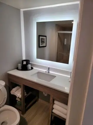 1 Bedroom Suite, 1 King Bed, Non Smoking