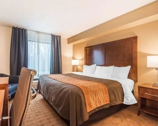 Standard Oda, 1 En Büyük (King) Boy Yatak, Sigara İçilmez