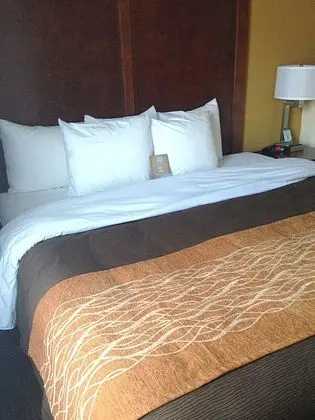 Standard Oda, 1 En Büyük (King) Boy Yatak, Sigara İçilmez