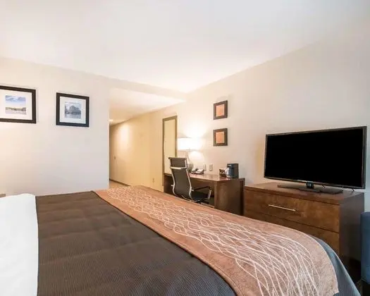 Standard Oda, 1 En Büyük (King) Boy Yatak, Sigara İçilmez