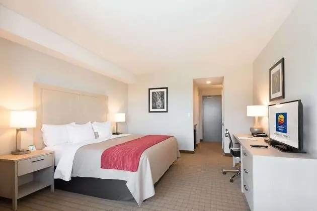 Standard Room, 1 King Bed, Ground Floor, Non Smoking (No Pets)