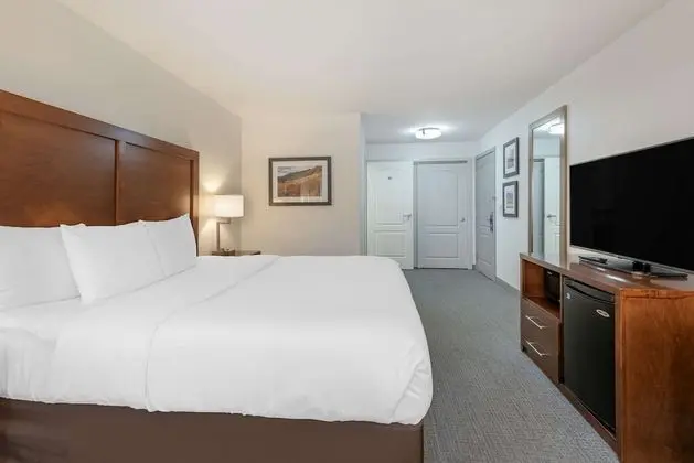 Business Oda, 1 Büyük (Queen) Boy Yatak ve Çekyat, Engellilere Uygun, Sigara İçilmez