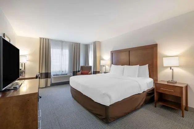 Business Oda, 1 Büyük (Queen) Boy Yatak ve Çekyat, Engellilere Uygun, Sigara İçilmez