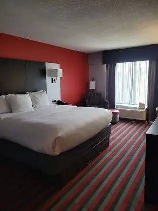 Oda, 1 En Büyük (King) Boy Yatak, Engellilere Uygun, Sigara İçilmez