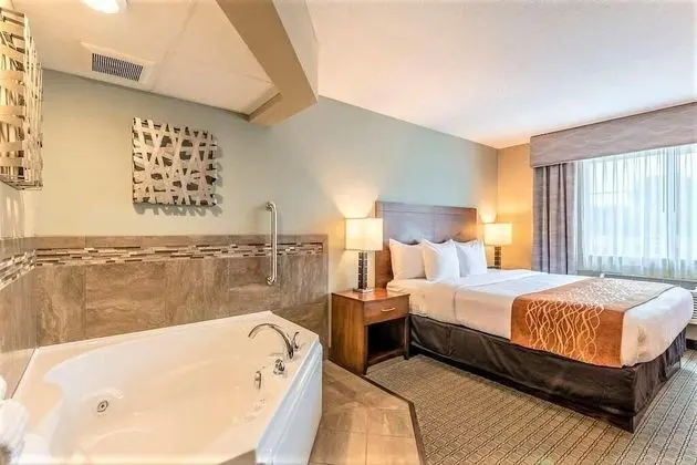 Luxury Tek Kişilik Oda