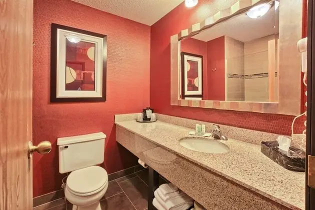 Standard Oda, 1 En Büyük (King) Boy Yatak, Sigara İçilmez, Sıcak Su Küveti