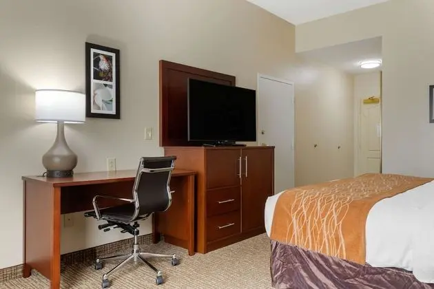 Standard Oda, 1 En Büyük (King) Boy Yatak, Sigara İçilmez