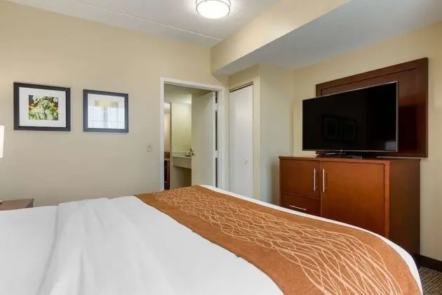 Süit, 1 En Büyük (King) Boy Yatak ve Çekyat, Sigara İçilmez